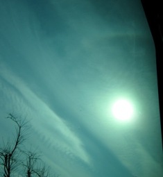 b0173754_5112598.jpg