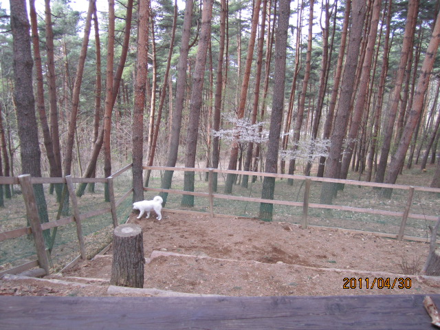 f0046854_20591872.jpg