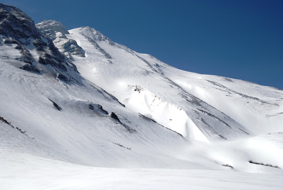 d0169556_1728295.jpg
