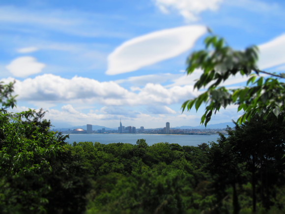 f0201157_12183846.jpg