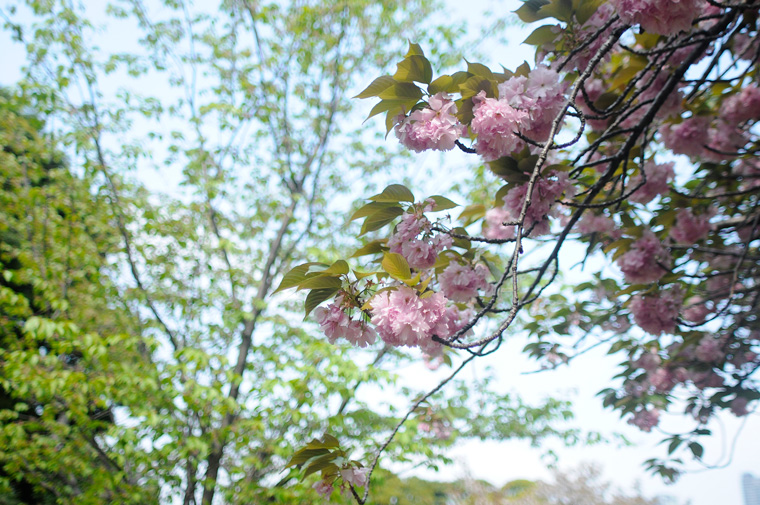 f0176458_13201582.jpg