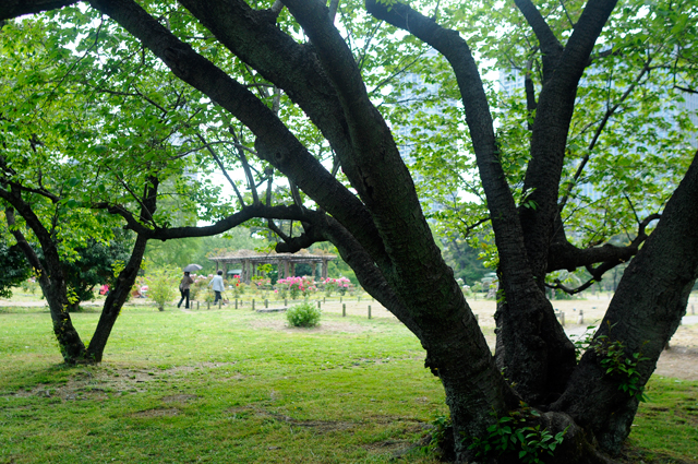 f0176458_1381710.jpg