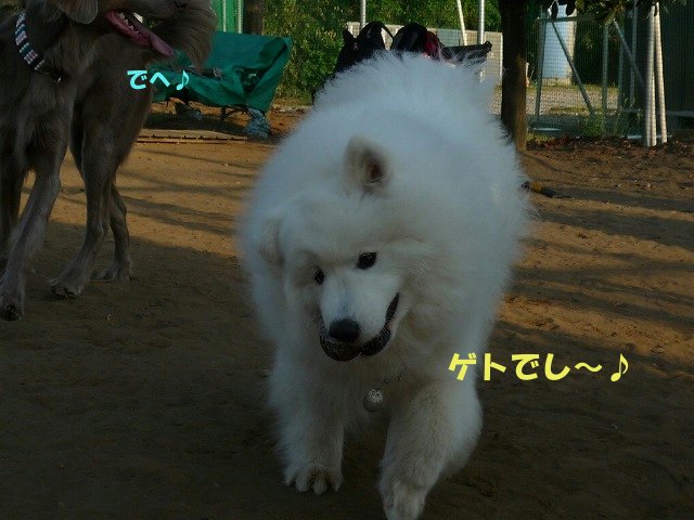 e0176159_14375053.jpg