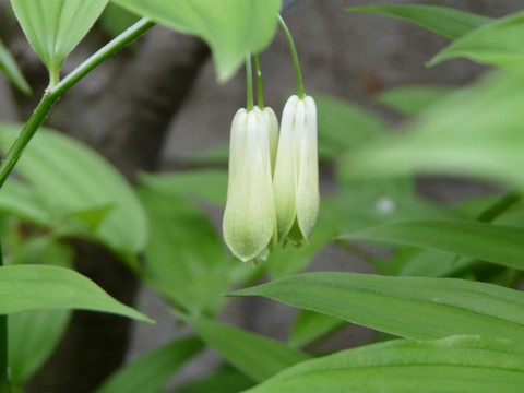 f0195963_16314647.jpg