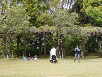 e0197164_9301861.jpg