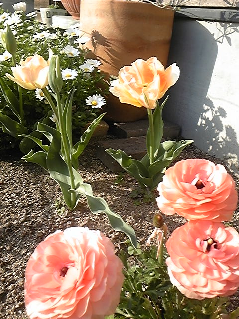 e0058665_075695.jpg