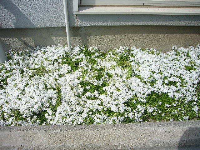 f0057565_16515379.jpg