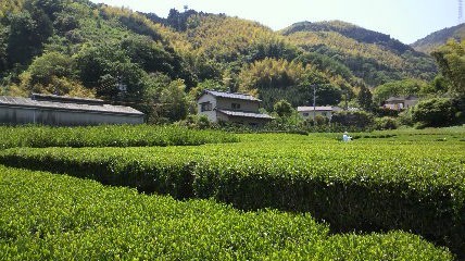 c0144868_1104925.jpg
