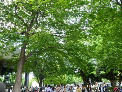 b0223370_10274092.jpg
