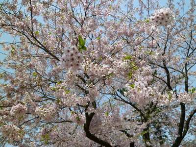 b0223370_10321710.jpg