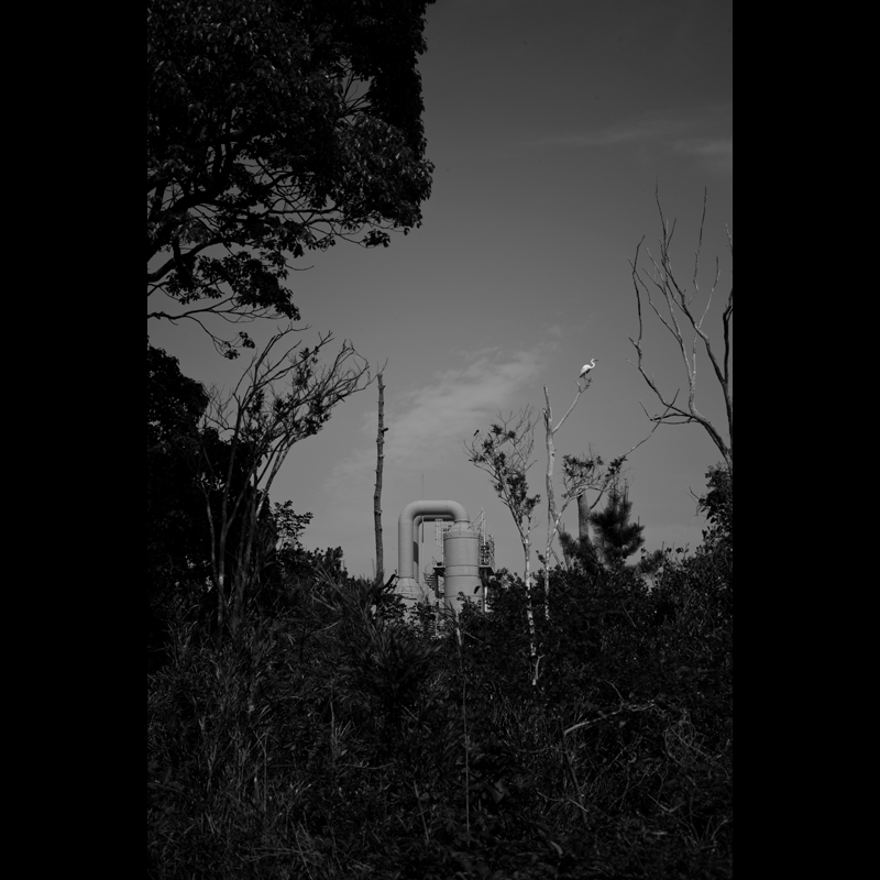 c0118173_19522293.jpg