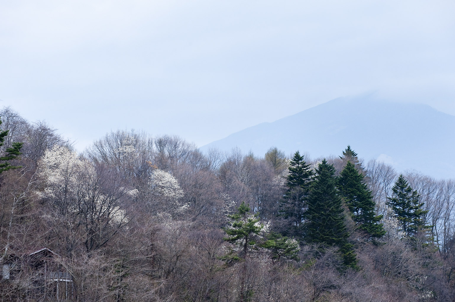 f0145674_032551.jpg