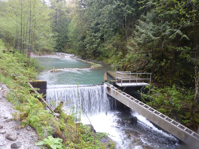 c0080075_3565751.jpg