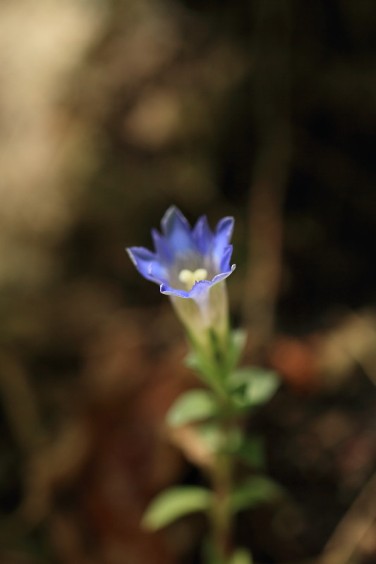 c0148777_2014913.jpg