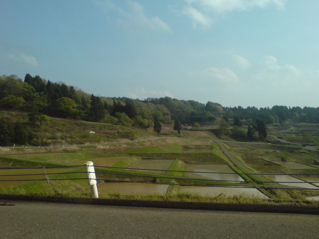 d0182179_1833116.jpg
