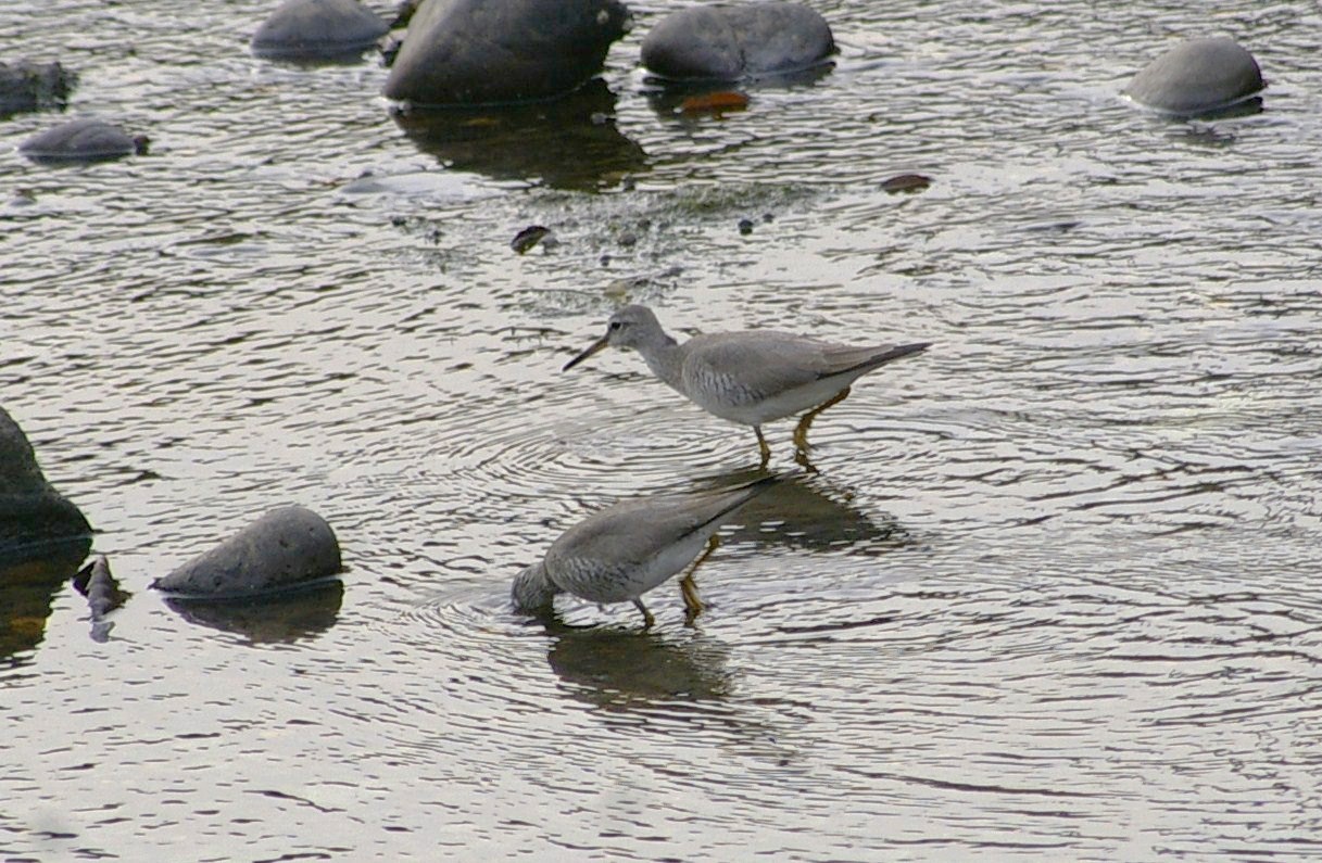 e0197884_20475315.jpg
