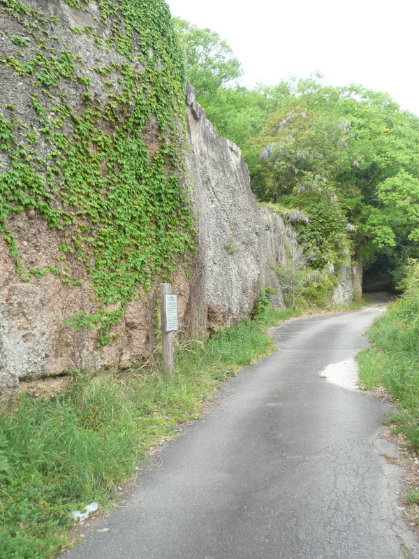 b0118987_1814857.jpg