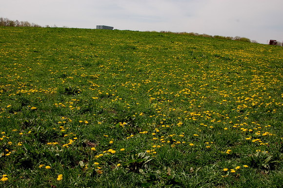 b0203588_1912564.jpg