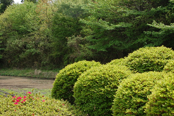 b0203588_19175271.jpg