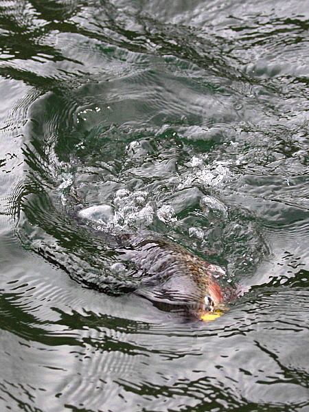 d0127888_23111941.jpg