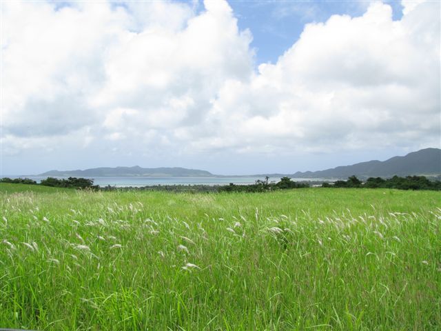 c0064389_1846440.jpg