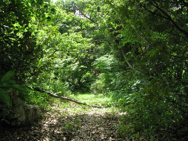 c0064389_18562813.jpg