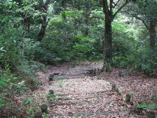 c0064389_18564780.jpg