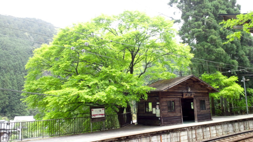 a0079292_1948106.jpg