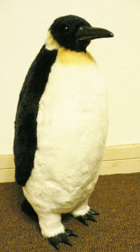 d0123492_21494965.jpg