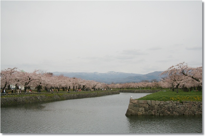 f0146493_22385771.jpg