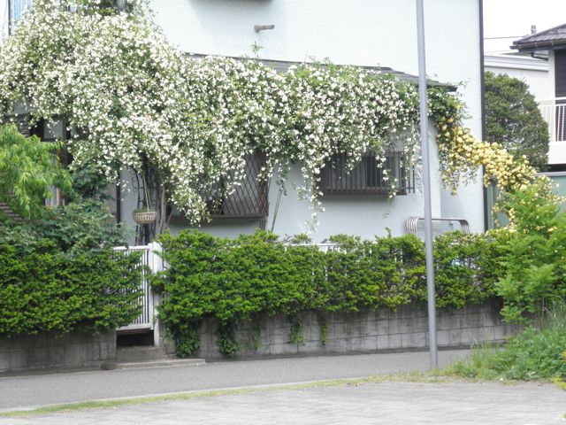 f0130894_2120484.jpg