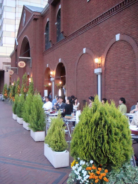 d0098295_1764457.jpg