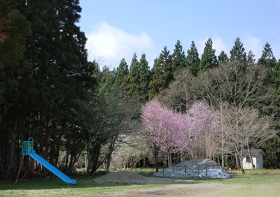 a0138198_9364847.jpg