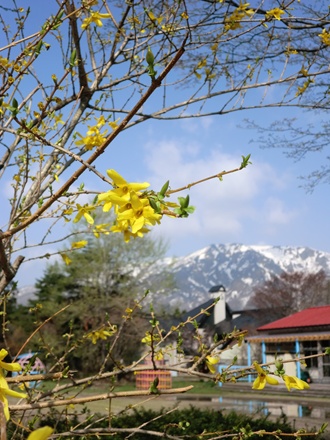 a0138198_937699.jpg