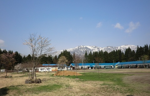 a0138198_9451618.jpg