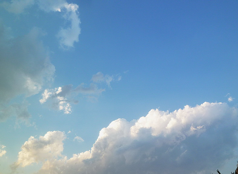 c0138198_9103612.jpg