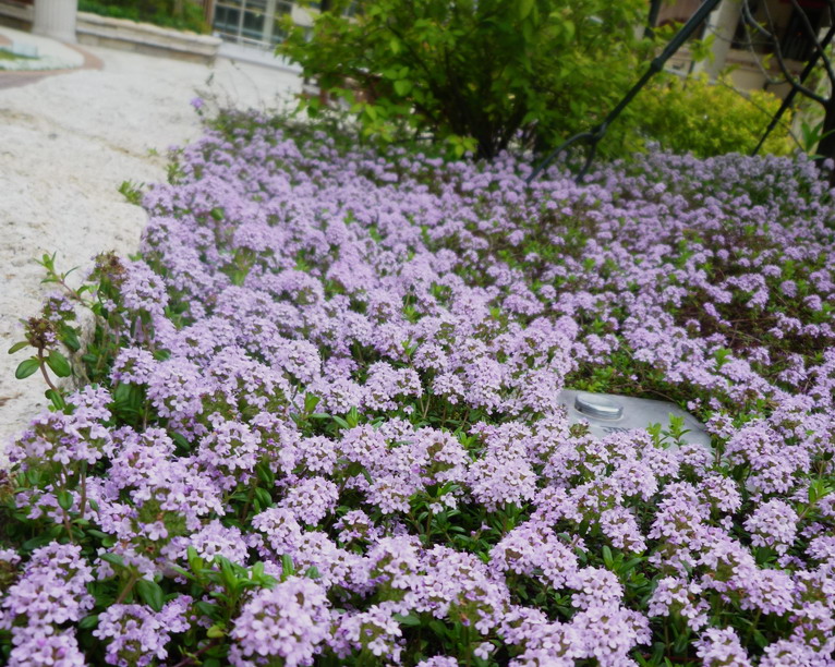 c0138198_9144119.jpg