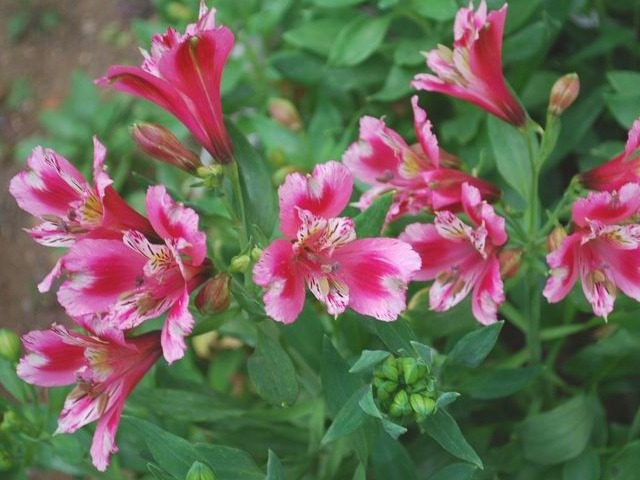 e0025300_14511410.jpg