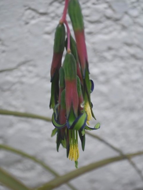 e0025300_1513729.jpg