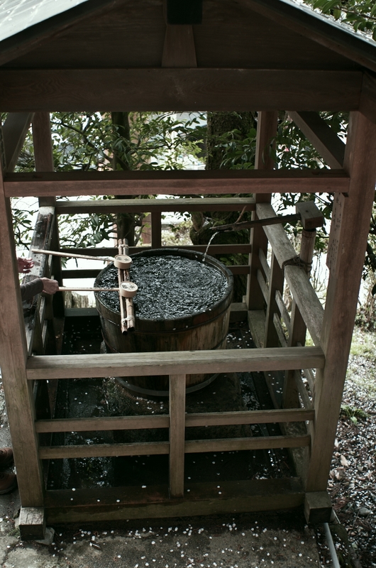 b0138101_20311920.jpg