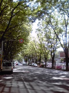 c0202101_0315354.jpg
