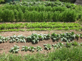 f0144707_610578.jpg