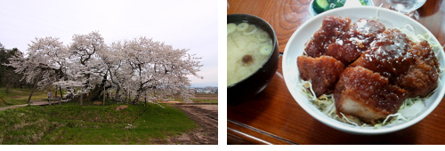 20110509-2.jpg