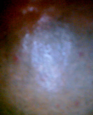 e0103408_2123688.jpg