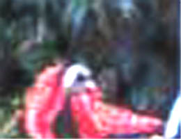 e0103408_9134356.jpg