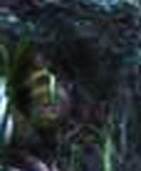 e0103408_9143910.jpg