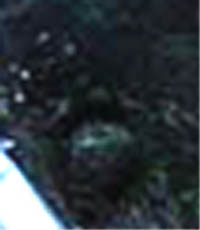 e0103408_9145732.jpg