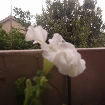 c0026612_7573337.jpg