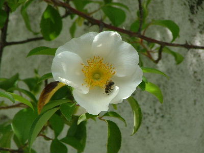 c0212214_22135760.jpg
