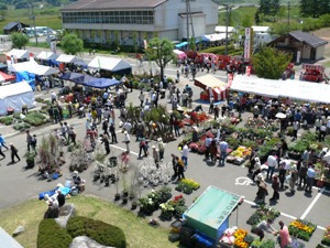 e0097615_153918.jpg